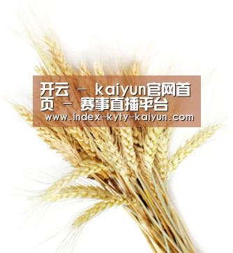 开云 - kaiyun官网首页 - 赛事直播平台