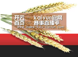 开云 - kaiyun官网首页 - 赛事直播平台