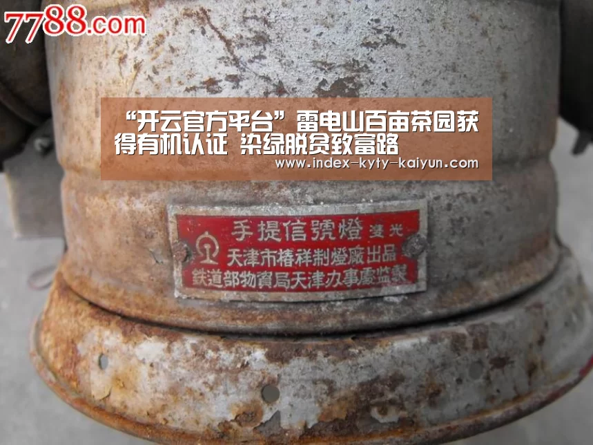 “开云官方平台”雷电山百亩茶园获得有机认证 染绿脱贫致富路(图2) 开云品牌