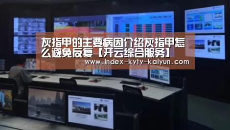 开云权威入口