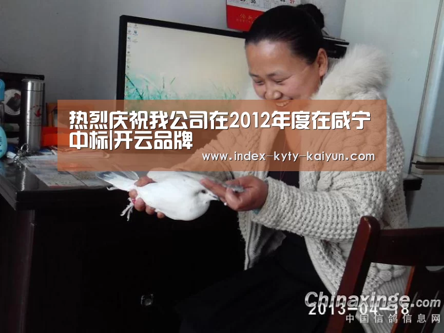 开云中国官网