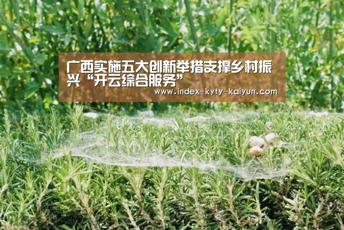 开云品牌
