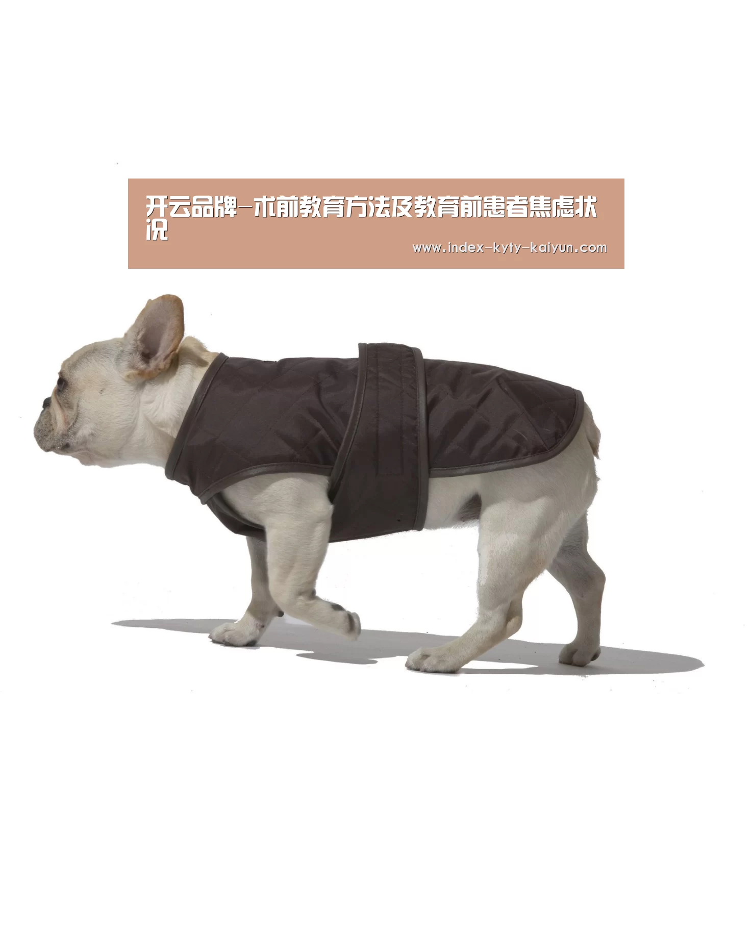 开云官方平台