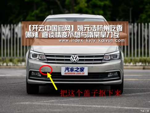 开云权威入口