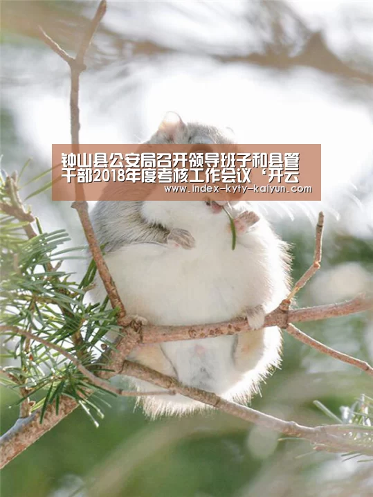 钟山县公安局召开领导班子和县管干部2018年度考核工作会议‘开云官方平台’(图4) 开云综合服务